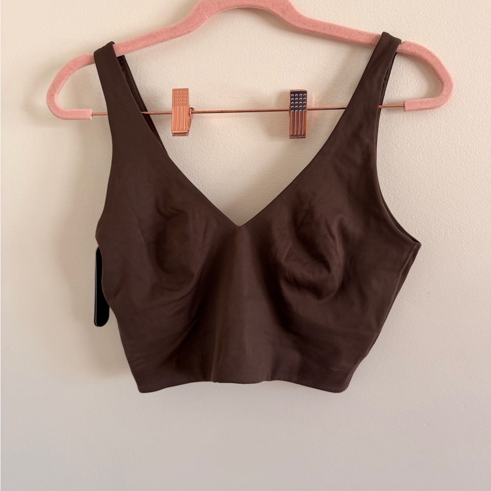 Nike SKIMS Chocolate Brown V-Neck Crop Sports Bra